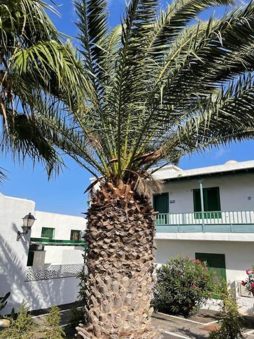 Apartamento Amura En Playa De Las Cucharas Costa Teguise Kültér fotó